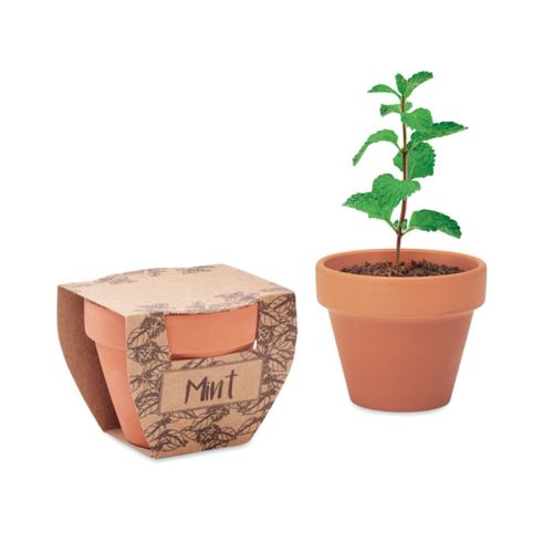 Terracotta pot Mint - Image 6